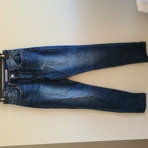 NWT Joe's High Rise Straight Ankle Jeans Size 24